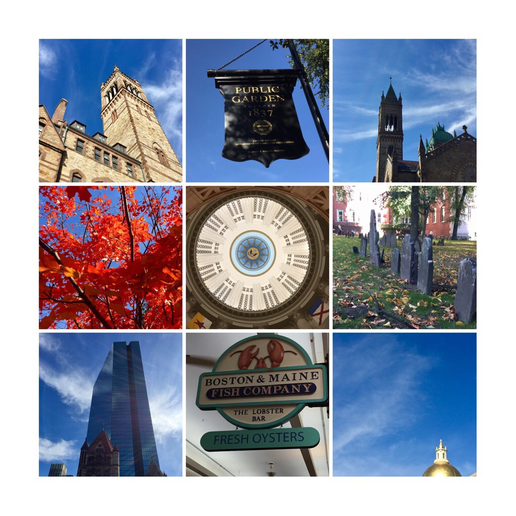 Processed with MOLDIV